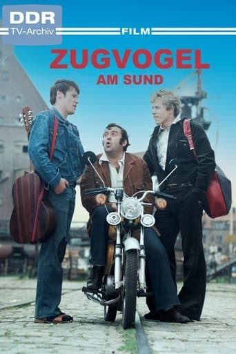 Zugvogel am Sund poster - Find streaming availability