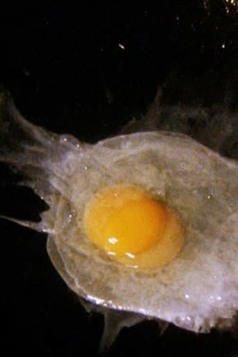 Fried Egg poster - Find streaming availability