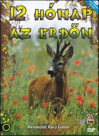 12 hónap az erdőn poster - Find streaming availability