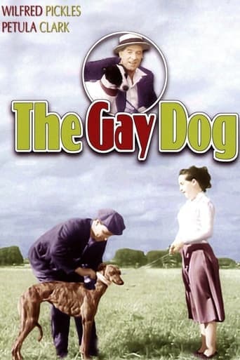 The Gay Dog poster - Find streaming availability