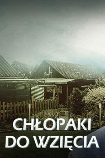 Chłopaki do wzięcia poster - Find streaming availability