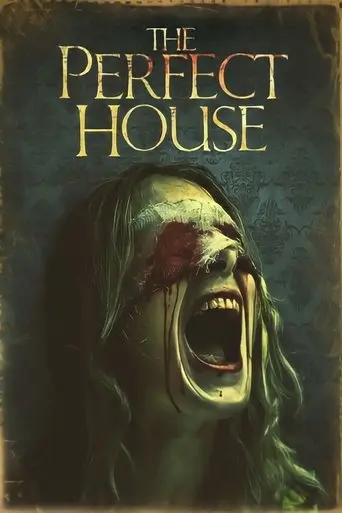 The Perfect House poster - Find streaming availability