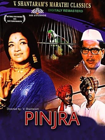 Pinjra poster - Find streaming availability