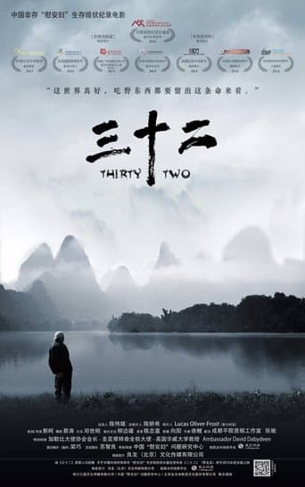Thirty Two poster - Find streaming availability