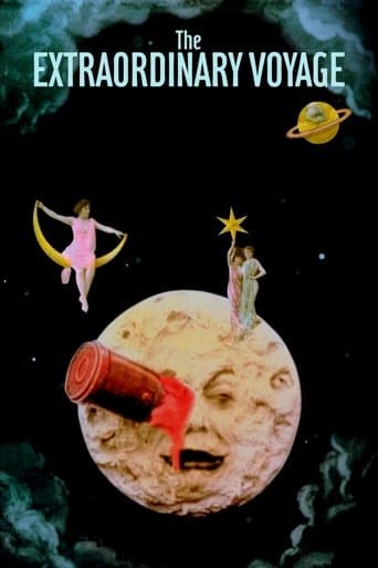 The Extraordinary Voyage poster - Find streaming availability