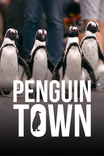 Penguin Town poster - Find streaming availability