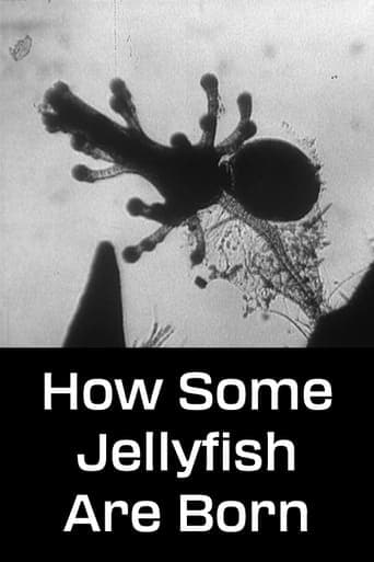 How Some Jellyfish Are Born poster - Find streaming availability