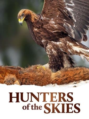 Hunters of the Skies poster - Find streaming availability