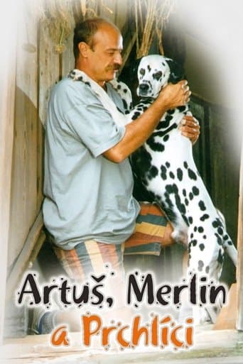 Artus, Merlin a Prchlici poster - Find streaming availability