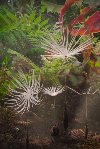 Dandelion's Odyssey poster - Find streaming availability
