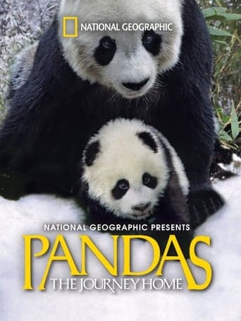 Pandas: The Journey Home poster - Find streaming availability