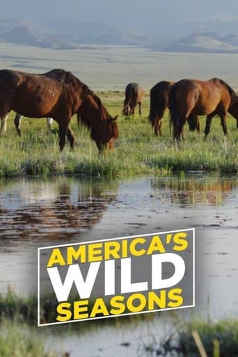 America's Wild Seasons poster - Find streaming availability