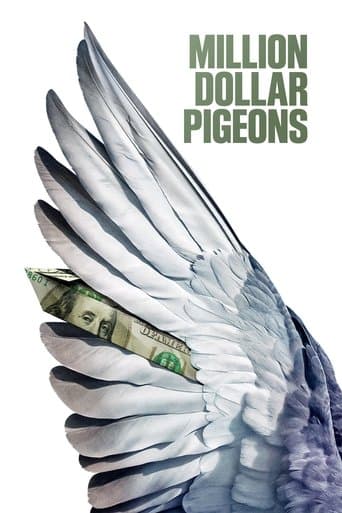 Million Dollar Pigeons poster - Find streaming availability