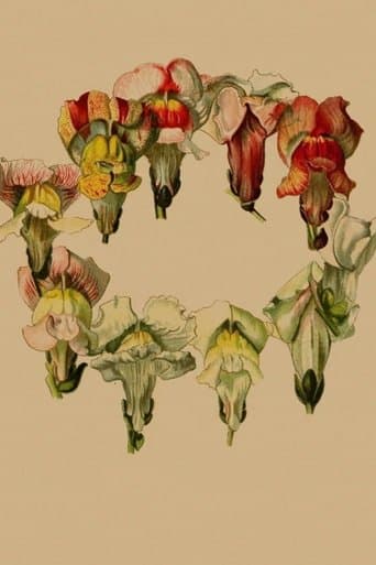 Stories In Place: Plante. poster - Find streaming availability
