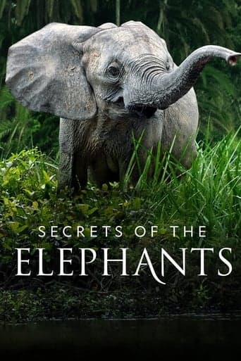 Secrets of the Elephants poster - Find streaming availability