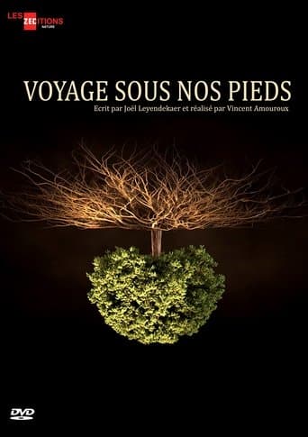 Voyage sous nos pieds poster - Find streaming availability