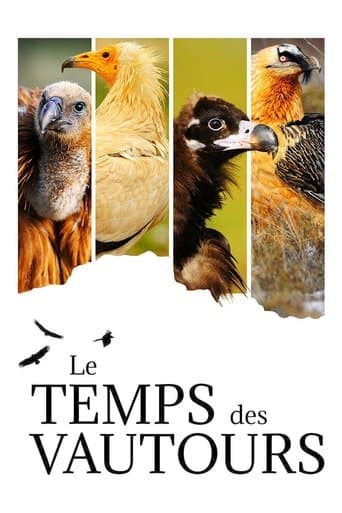 Le Temps des vautours poster - Find streaming availability