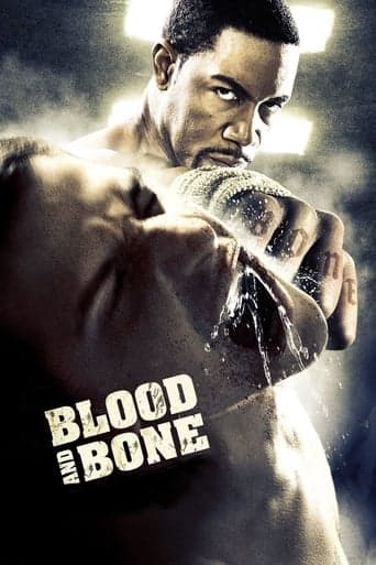 Blood and Bone poster - Find streaming availability