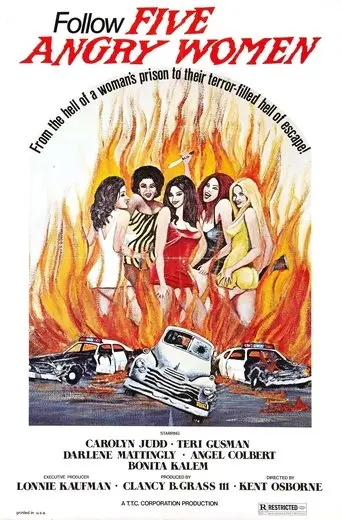 Women Unchained poster - Find streaming availability