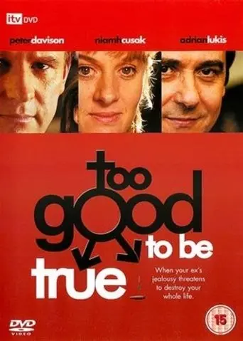 Too Good to Be True poster - Find streaming availability