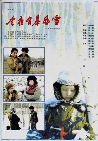 今夜有暴风雪 poster - Find streaming availability