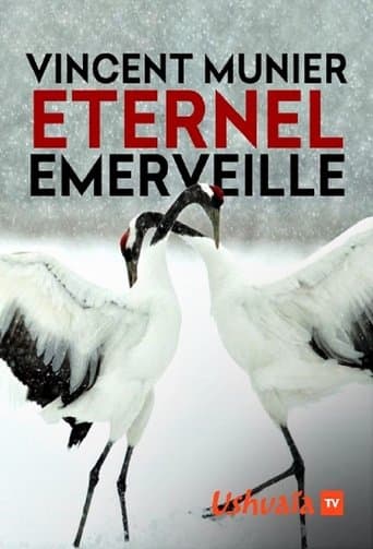 Vincent Munier, éternel émerveillé poster - Find streaming availability