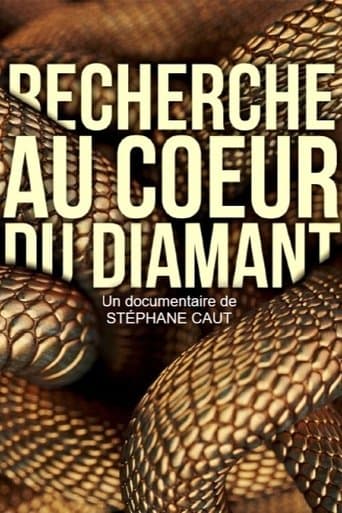 Recherche au coeur du Diamant poster - Find streaming availability