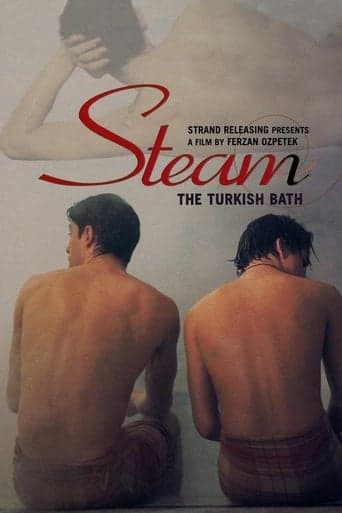 Steam: The Turkish Bath poster - Find streaming availability