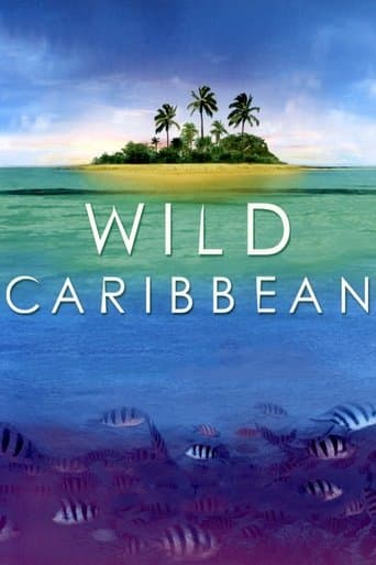 Wild Caribbean poster - Find streaming availability