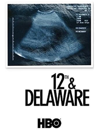 12th & Delaware poster - Find streaming availability