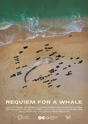 Requiem for a Whale poster - Find streaming availability