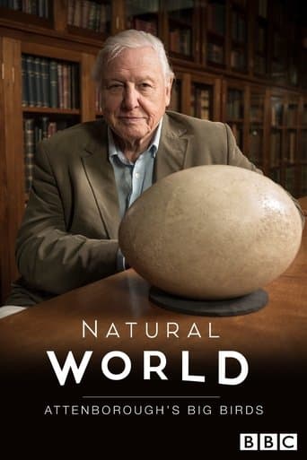 Attenborough's Big Birds poster - Find streaming availability