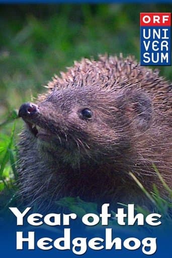 Year of the Hedgehog poster - Find streaming availability