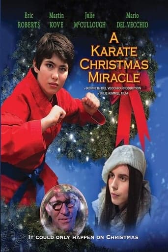 A Karate Christmas Miracle poster - Find streaming availability