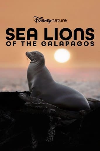 Sea Lions of the Galapagos poster - Find streaming availability