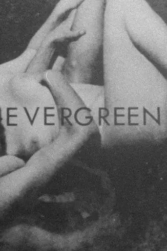 Evergreen poster - Find streaming availability