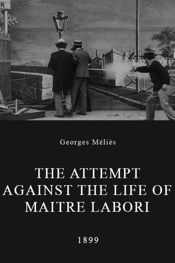 The Attempt Against the Life of Maitre Labori poster - Find streaming availability