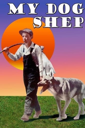 My Dog Shep poster - Find streaming availability