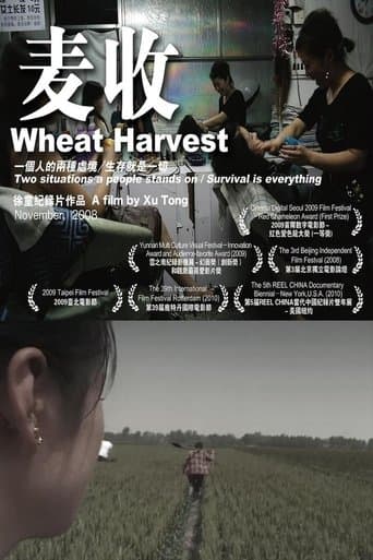 Wheat Harvest poster - Find streaming availability