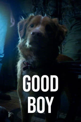 Good Boy poster - Find streaming availability