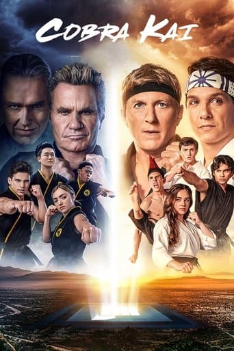 Cobra Kai poster - Find streaming availability