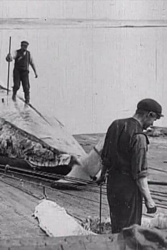Whaling Afloat and Ashore poster - Find streaming availability