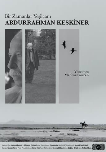 Once Upon a Time Yeşilçam: Abdurrahman Keskiner poster - Find streaming availability