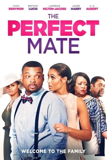 The Perfect Mate poster - Find streaming availability