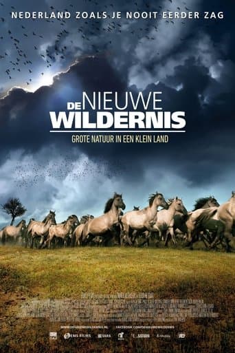 The New Wilderness poster - Find streaming availability