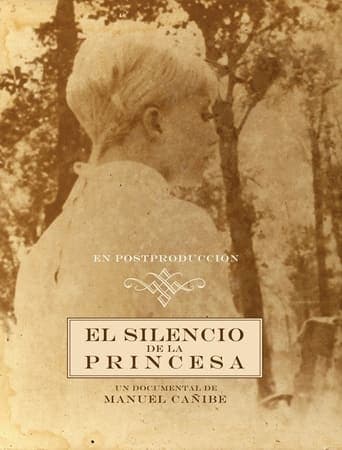 The Silence of the Princess poster - Find streaming availability