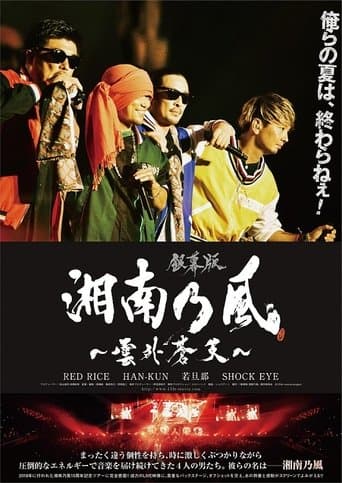 銀幕版 湘南乃風～雲外蒼天～ poster - Find streaming availability