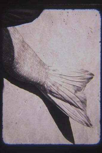 MER poster - Find streaming availability