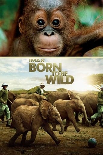 Born to Be Wild poster - Find streaming availability