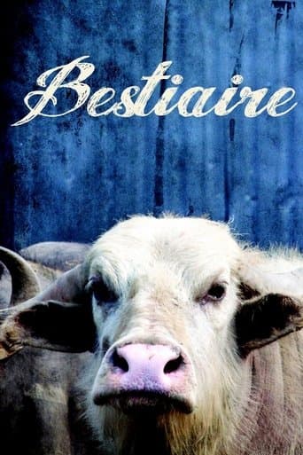 Bestiary poster - Find streaming availability